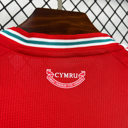 2026 Wales Home World Cup Kit Fan Version