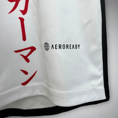 Japan "Levi Ackerman" Premium Kit