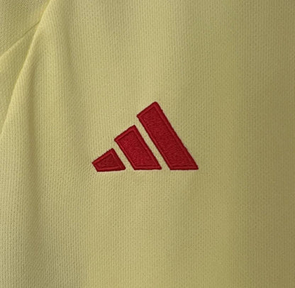 Wales 2024 Away Kit