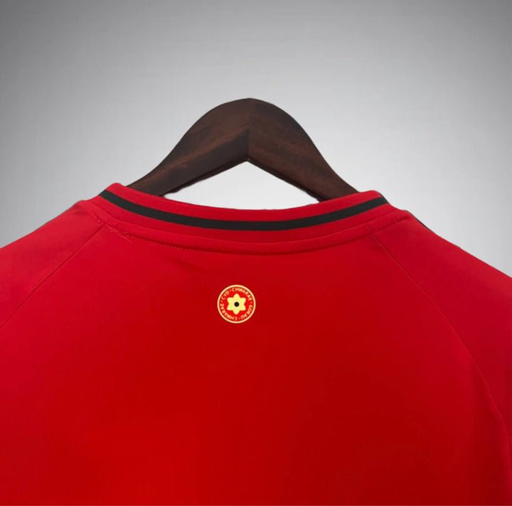 Wales 2024 Home Kit